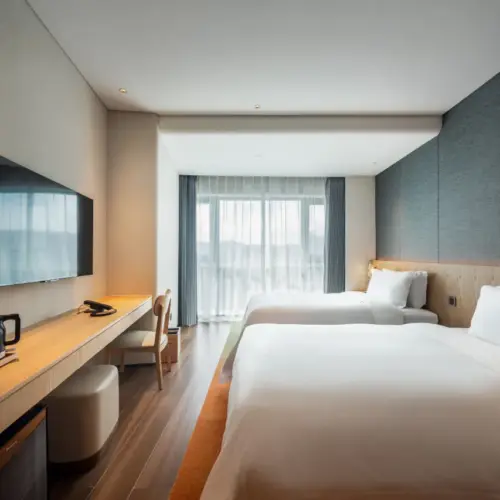 Deluxe Twin Bed Room