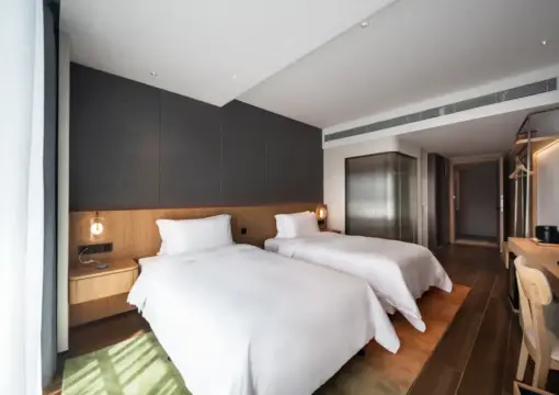 Deluxe Twin Bed Room