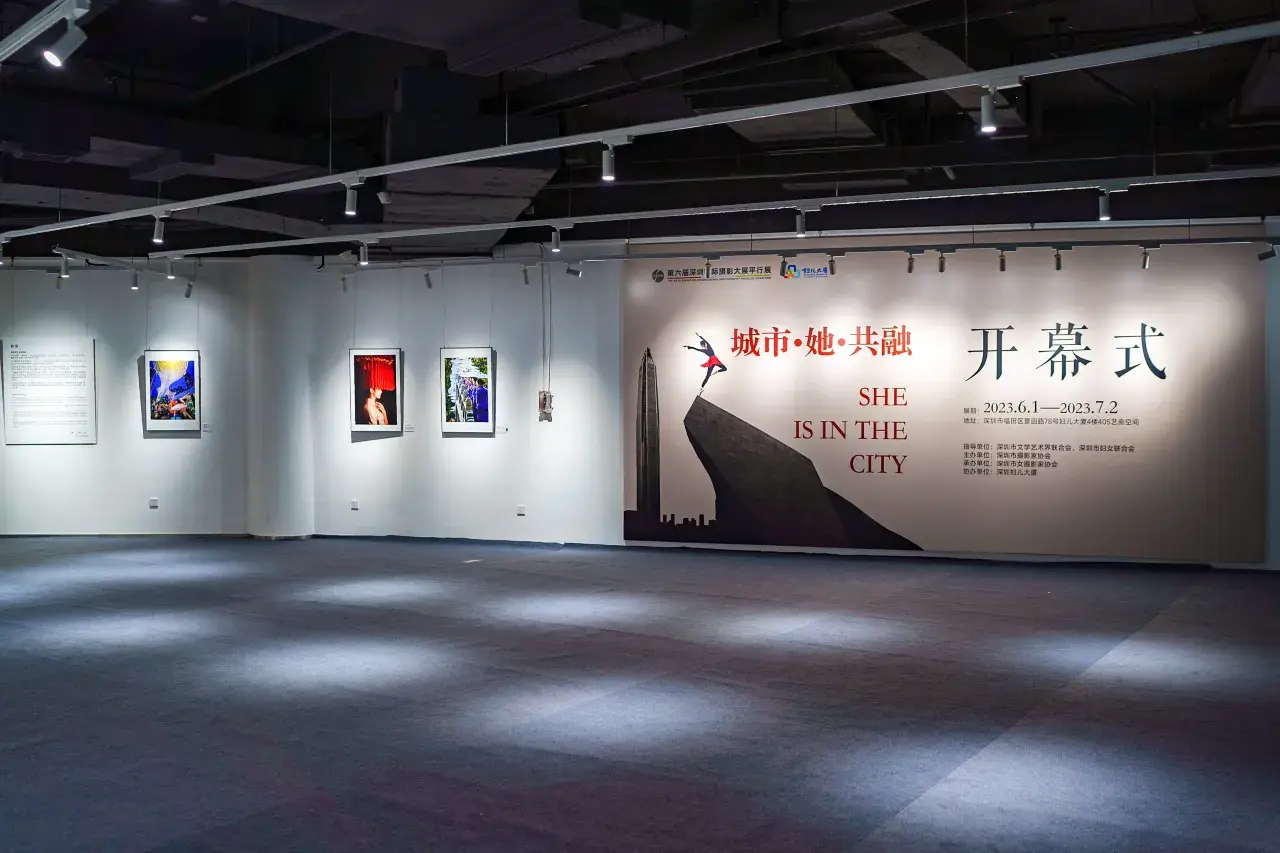 JINGJU HOTEL SHENZHEN (92)